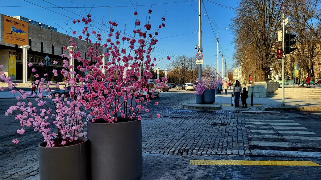 Прикраси у центрі Харкова / Фото: Суспільне