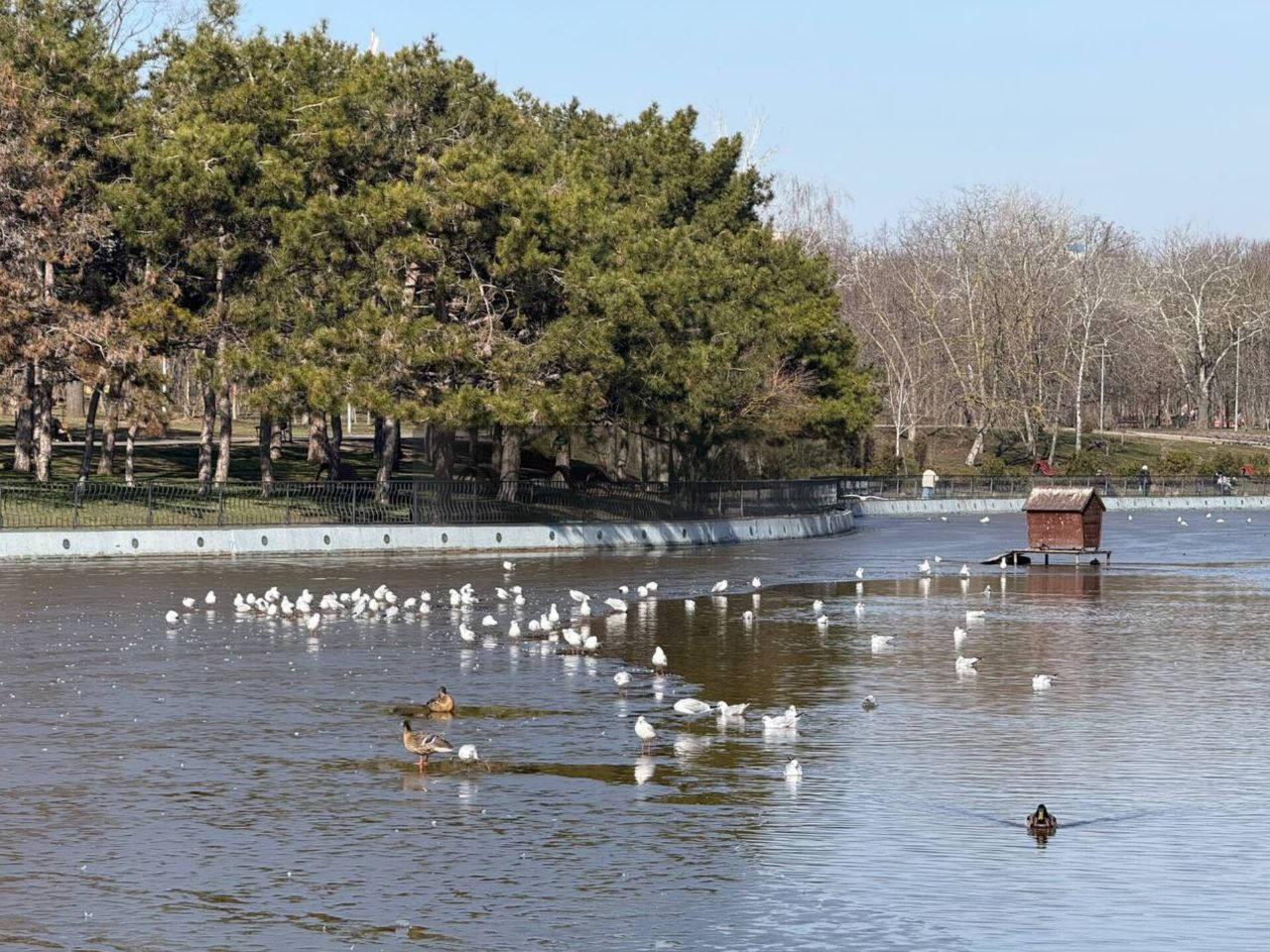 Весенняя Одесса / Фото: Думська. Одеса