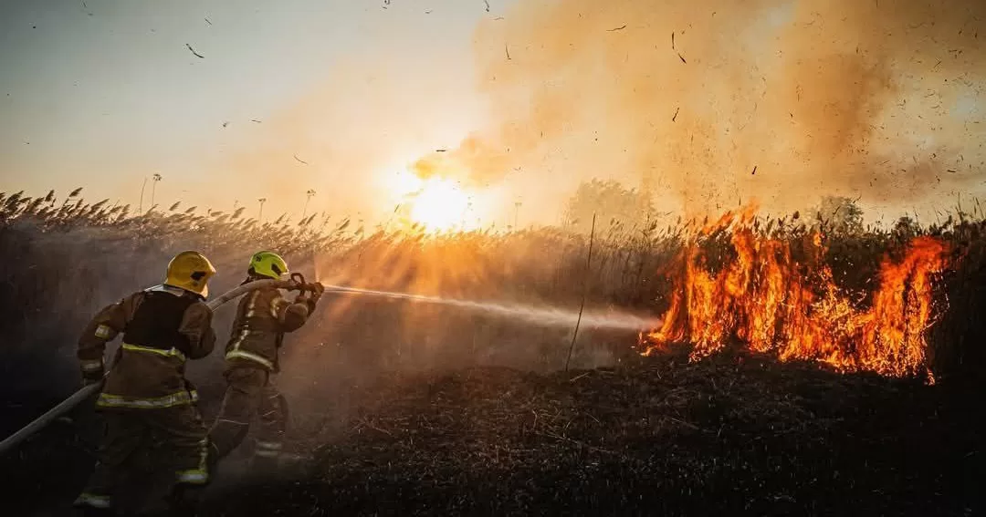 Ілюстративне фото / Фото ДСНС