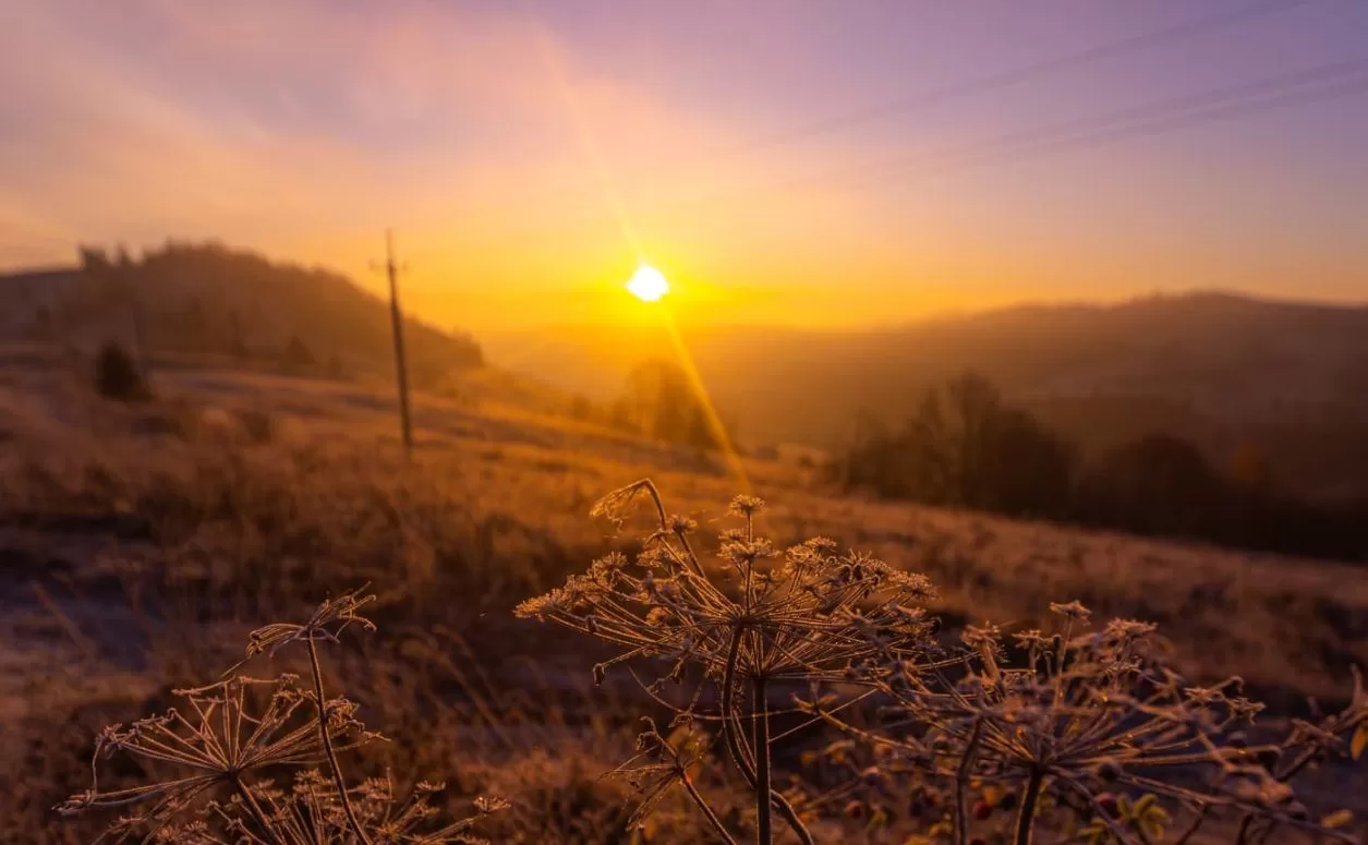 Світанок у Карпатах / Фото: istetsen / Instagram