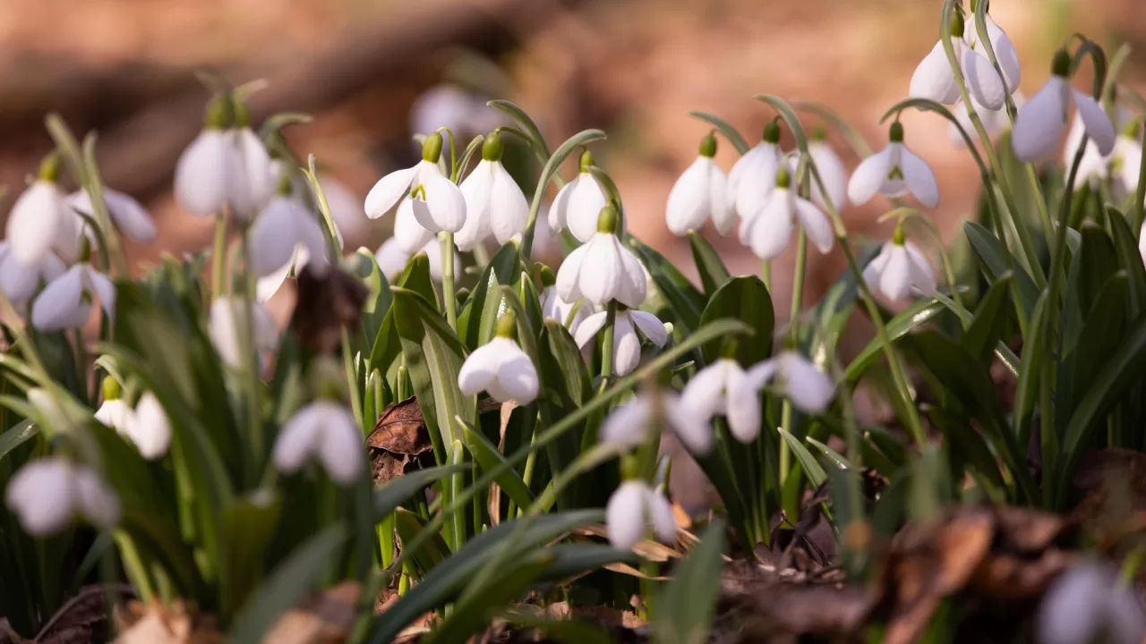 Заповедник «Белоснежный», Холодный Яр, Черкасская область / Фото Оксана Биличенко