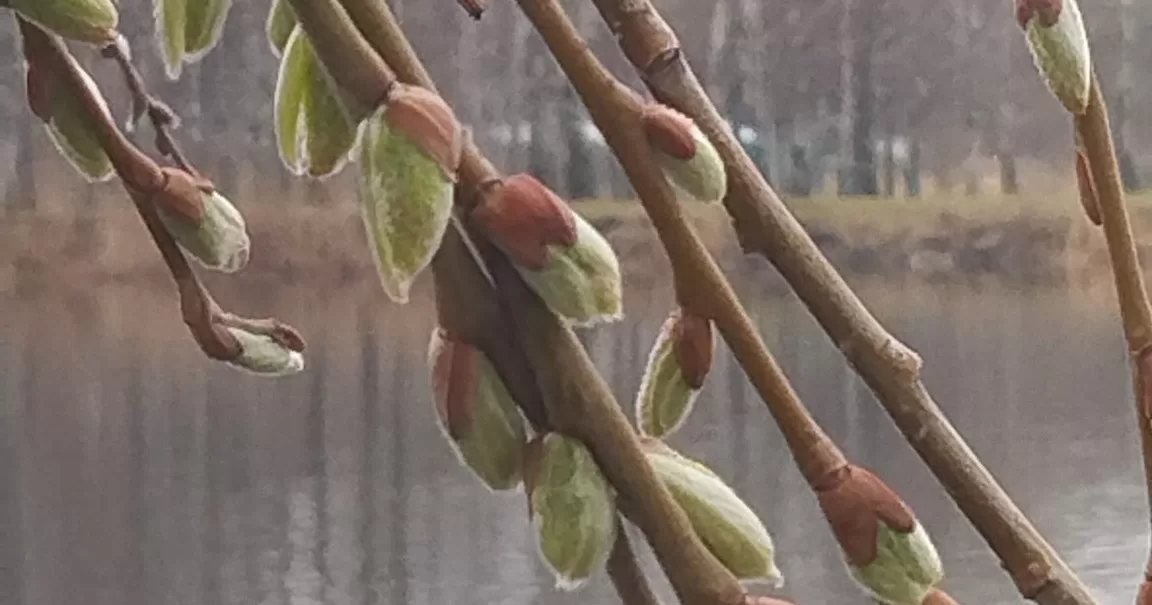 Иллюстративное фото / Фото Надежда Косенко