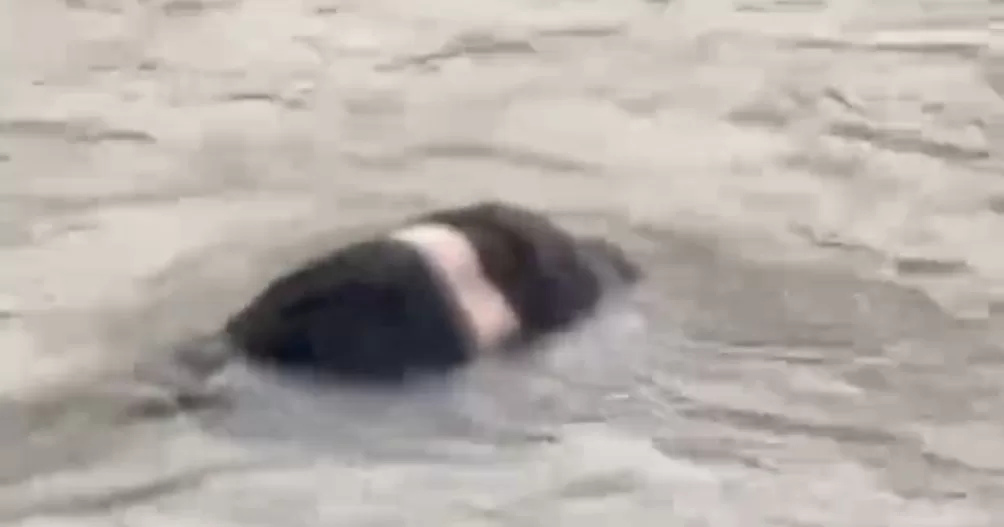 Потопельник знаходився у воді за 30 метрів від українського берега / Скриншот відео