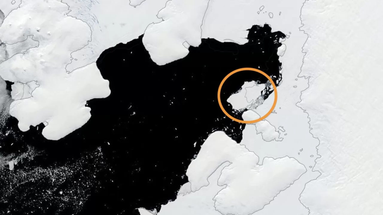 Супутниковий знімок айсберга, що відколовся від шельфового льодовика Георга VI в морі Беллінсгаузена 19 січня 2025 року / Фото NASA