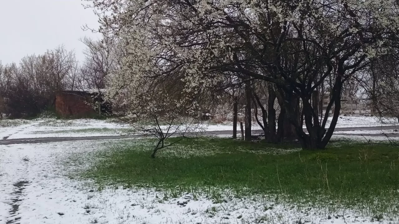 Mykolaiv region, 6 April 2025 / Photo by Anna Oprya