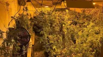 Полицейские провели ряд обысков, в результате которых ликвидировали нарколабораторию и изъяли наркотические вещества / Фото Нацполиция