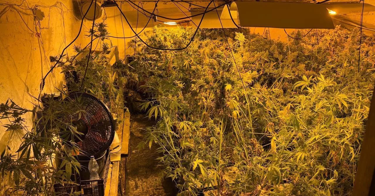 Полицейские провели ряд обысков, в результате которых ликвидировали нарколабораторию и изъяли наркотические вещества / Фото Нацполиция