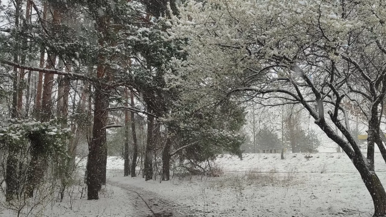 Ровенская область, город Вараш / Фото Facebook Марина Стельмах