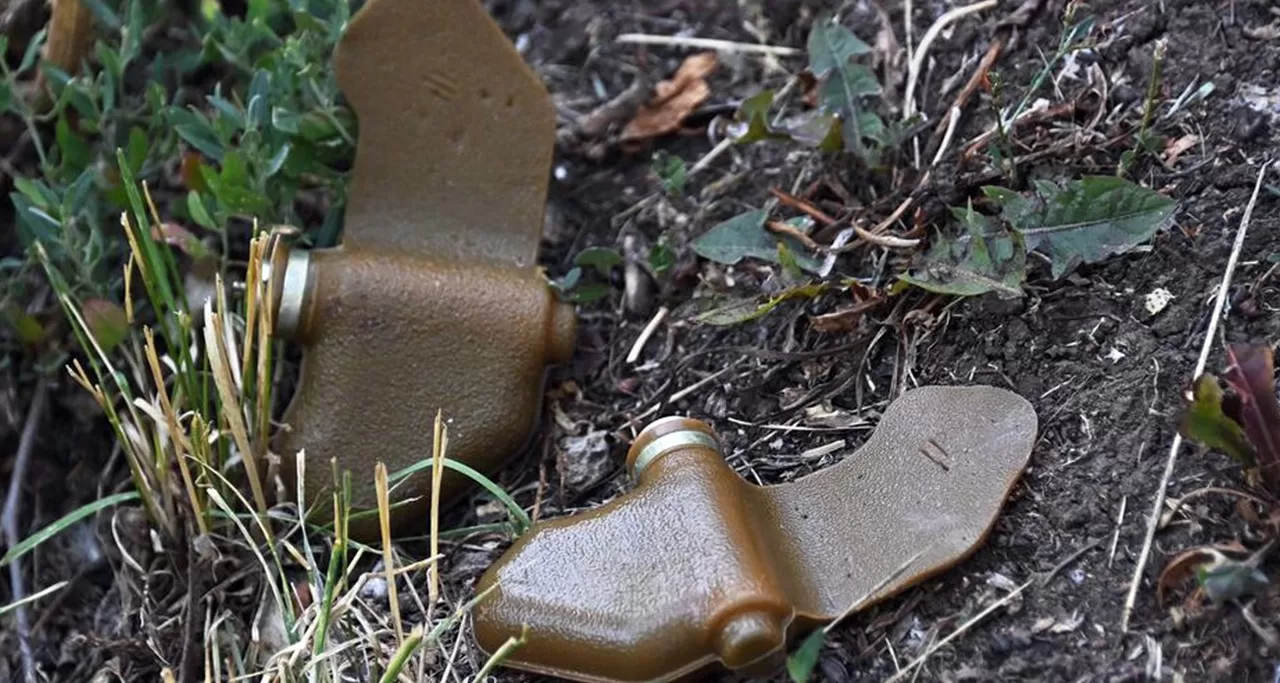 Мина (ПФМ-1) «лепесток». Иллюстративное фото / Фото Новокаховская ГВА