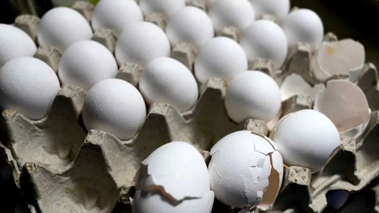 Лоток з яйцями стоїть на прилавку на кухні ресторану 5 Rabanitos у Чикаго, 16 лютого 2025 року / Фото AP Photo