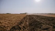 Ілюстративне фото / Фото superagronom.com