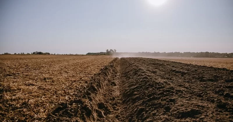 Ілюстративне фото / Фото superagronom.com