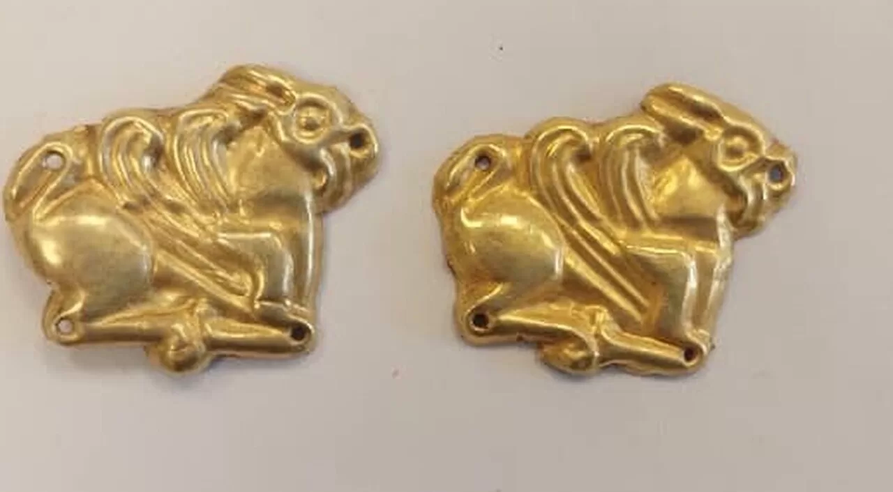 Артефакти з ТОТ, знайдені естонськими прикордонниками, у вантажівці, яка прибула з Росії. Січень 2024 / Фото PPA