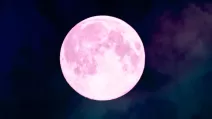 Розовая Луна / Фото: BBC Science Focus Magazine