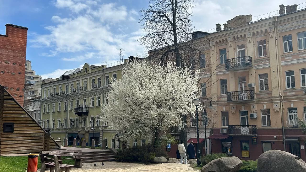 Весняний Київ / Фото: Наталка Діденко