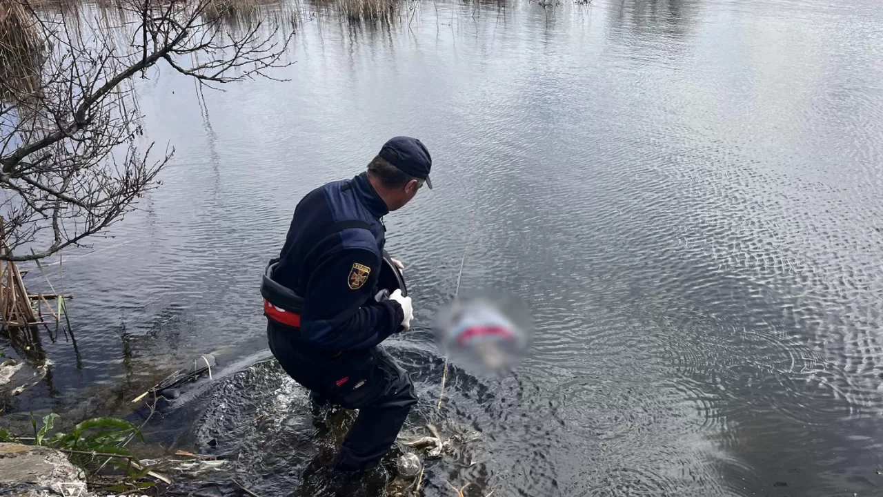 Рятувальники піднімають на берег тіло жінки у Києві / Фото: ДСНС Києва