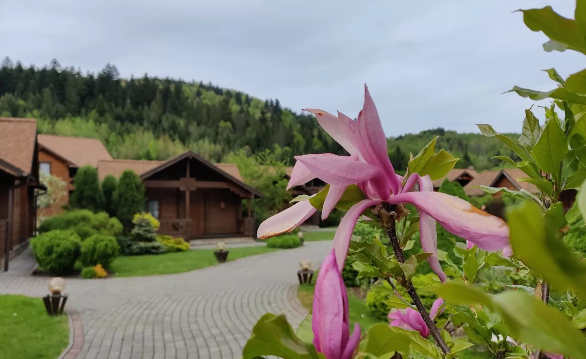 Украинские Карпаты / Фото: Головне в Україні