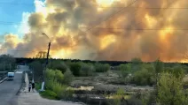 Пожар в Балаклейском лесничестве / Фото ГСЧС