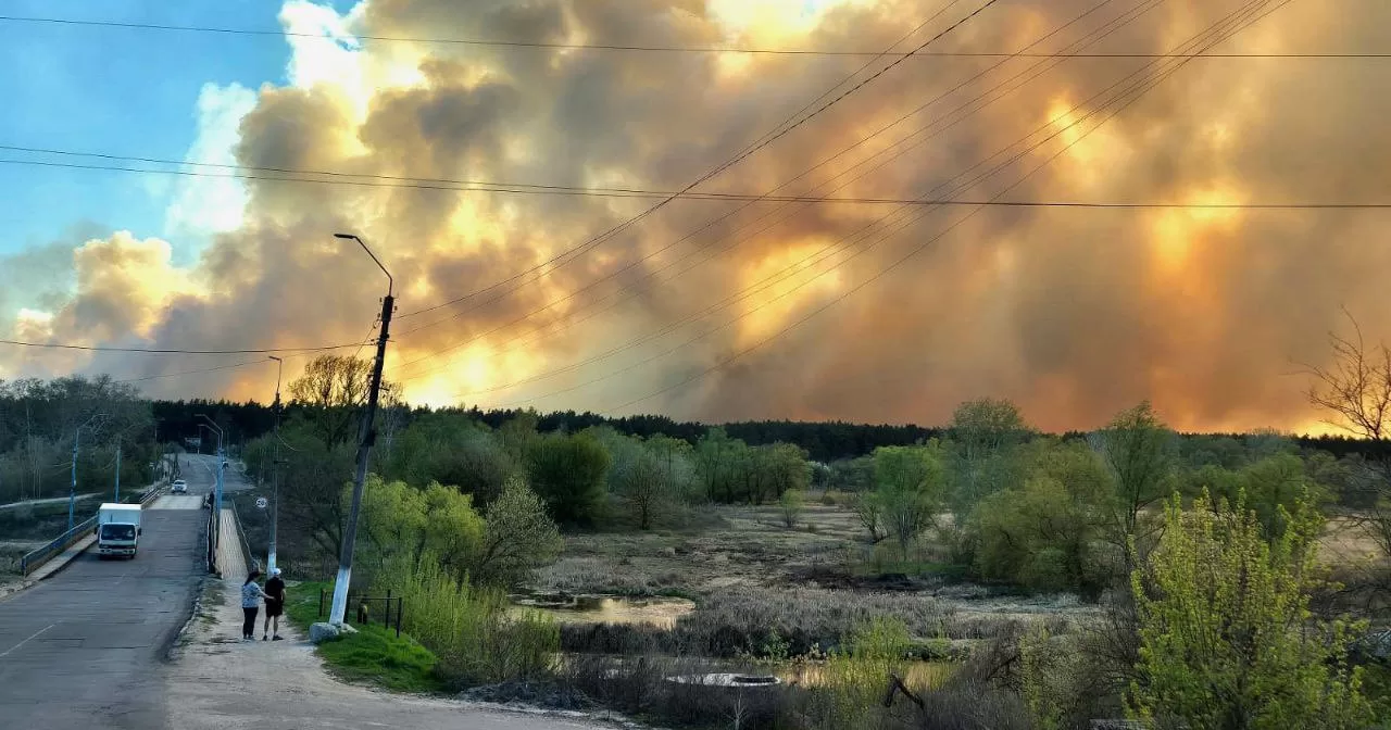 Пожежа у Балаклійському лісництві / Фото ДСНС