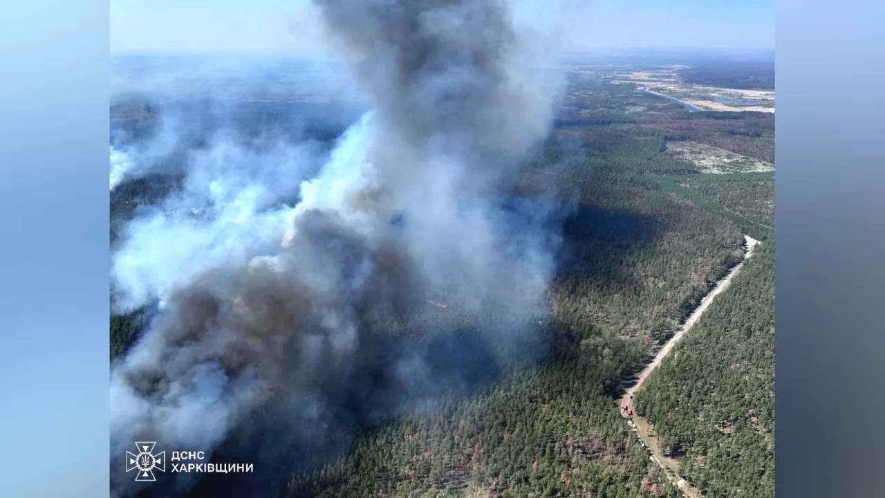 Повідомлення про пожежу у Балаклійському лісництві надійшло об 11:51 19 квітня / Фото ДСНС