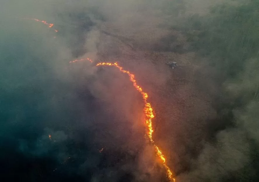 Пожар в Бебжанском национальном парке / Фото: PAP
