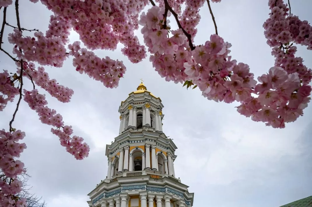 Цветущая вишня в Лавре / Фото: istetsen / Instagram