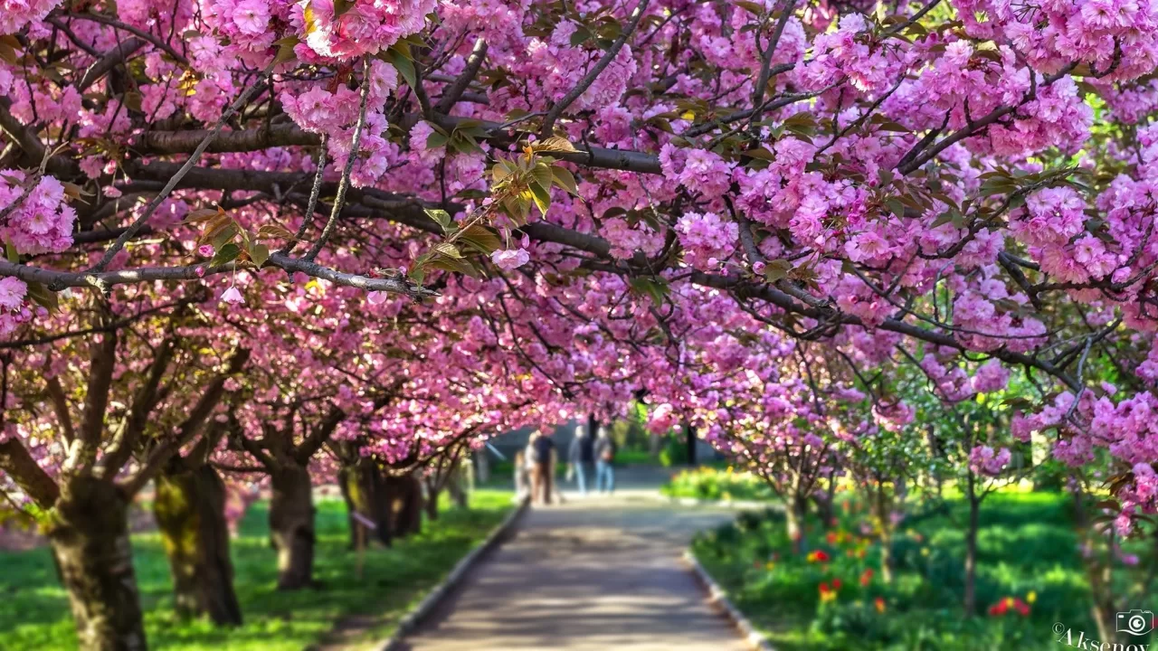 Dnipro. April 2025 / Photo Facebook Denis Aks