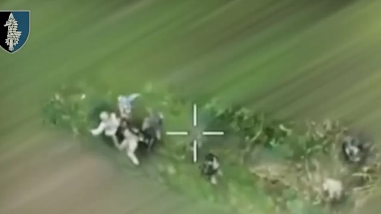 Только за вчерашний день  группа 73-го центра ССО на Курщине уничтожила целую группу военнослужащих 810-й бригады морской пехоты  противника / Скриншот видео