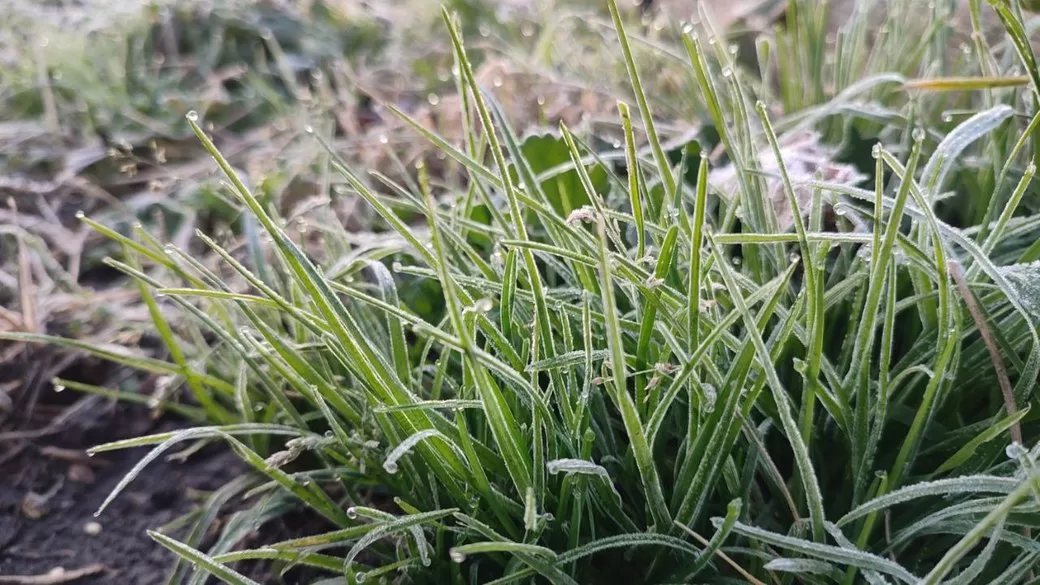 Ілюстративне фото / Суспільне