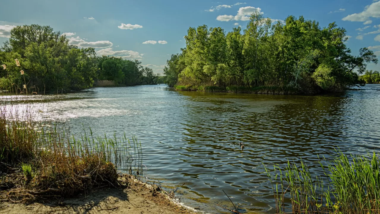 Ілюстративне фото / Фото Олександр Пасечник