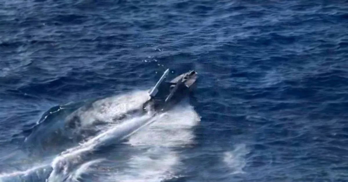 БЕК Magura V5, оснащений ракетою Р-73 / Фото з відкритих джерел