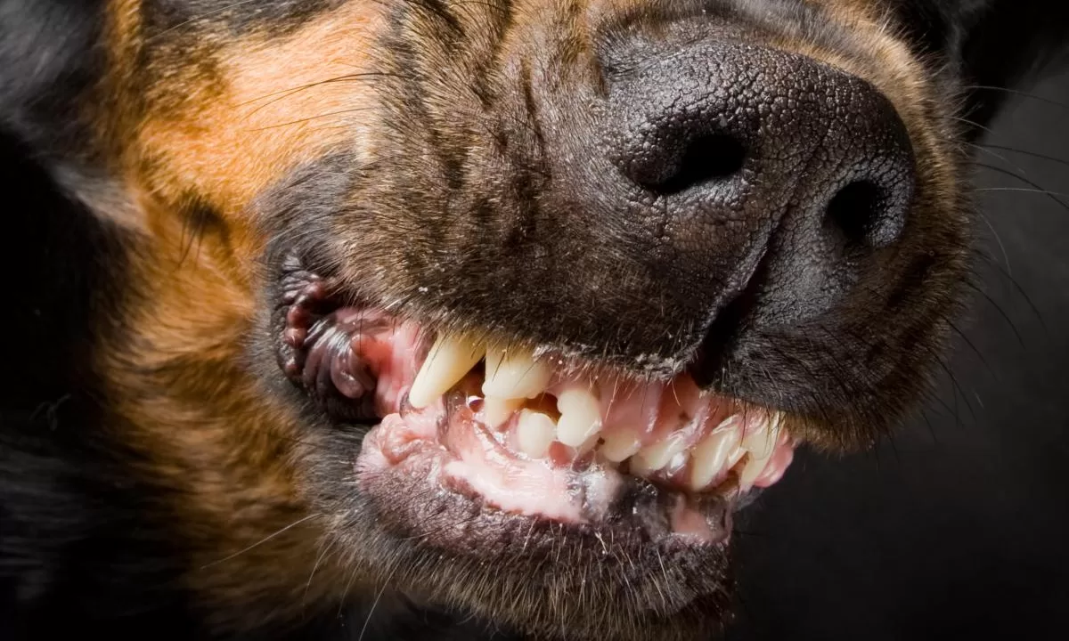 Иллюстративное фото / Depositphotos