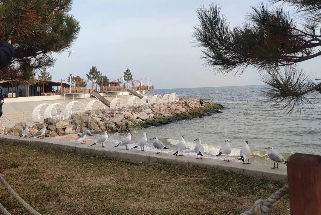 Прогноз погоды в Украине в мае / Фото: Одесский городской совет