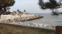 Прогноз погоди в Україні у травні / Фото: Одеська міська рада