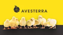 Логотип компанії Avesterra Group