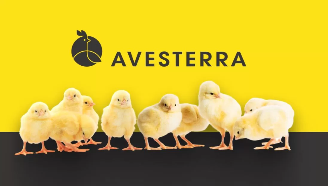 Логотип компанії Avesterra Group
