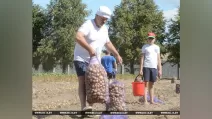 Лукашенко і карртопля / Фото БелТА