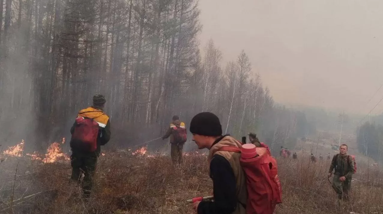 Пожар в Бурятии / Кадр из видео