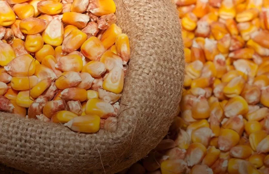 Ілюстративне фото / Міністерство аграрної політики