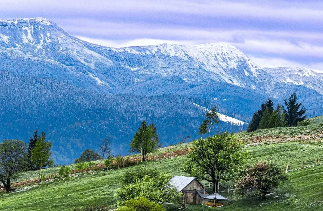 Пейзажі травня в українських Карпатах / Фото: utah_names / Instagram