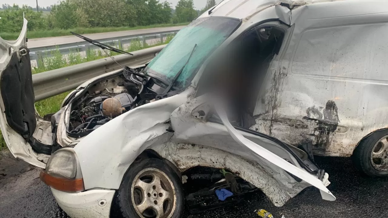 Смертельна ДТП біля Житомира: загинув водій Renault / Фото: Нацполіція 