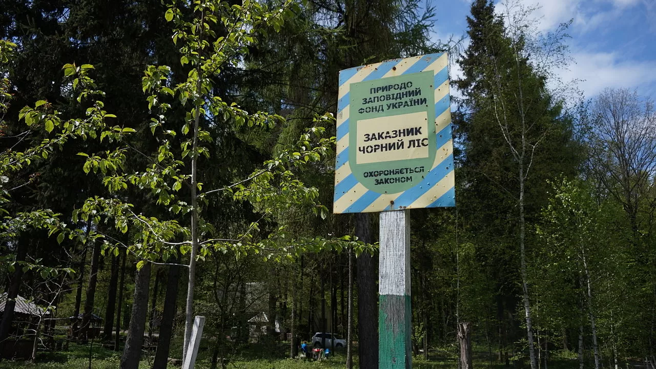 Заказник "Чорний ліс" / Фото ілюстративне: wikipedia.org