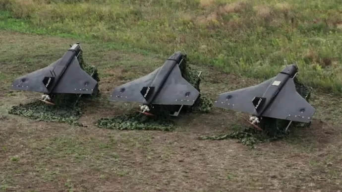 Російські БпЛА "Гербера" / Фото ілюстративне: Defence Express