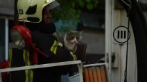 Rescuers pulled a cat out of a building destroyed by Russians in Kyiv / Photo: State Emergency Service