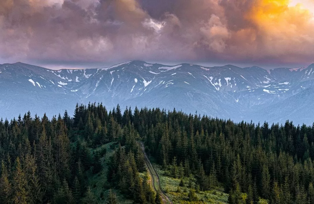 Июнь в Карпатах / Фото: utah_names / Instagram