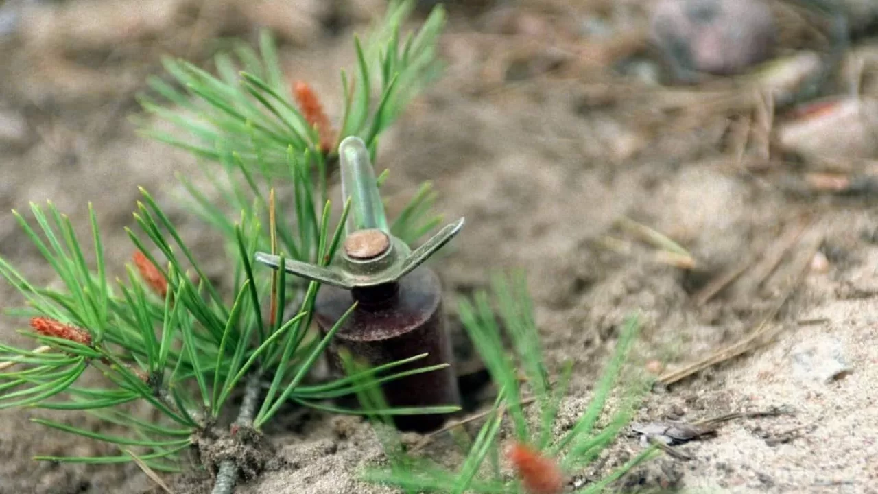 Протипіхотна міна / Фото: Jussi Nukari / Lehtikuva