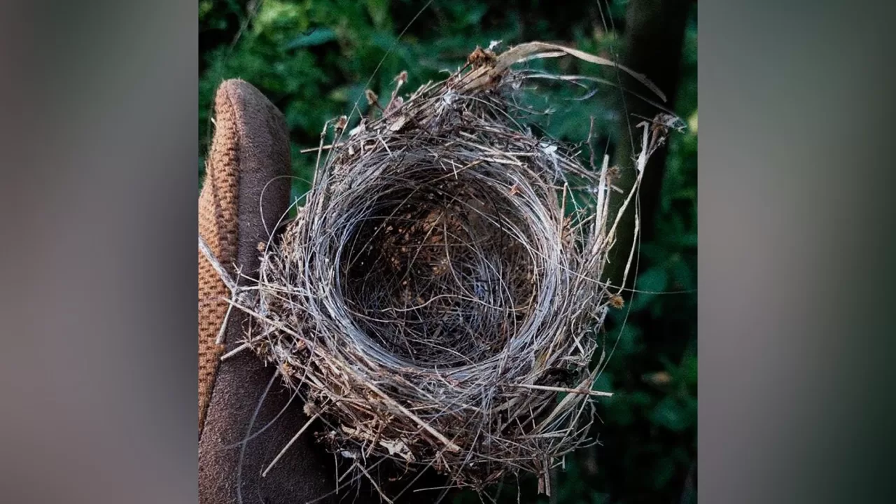 Птичье гнездо из оптоволокна / Фото 12 бригада НГУ «Азов»