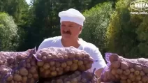 Александр Лукашенко / Кадр из видео