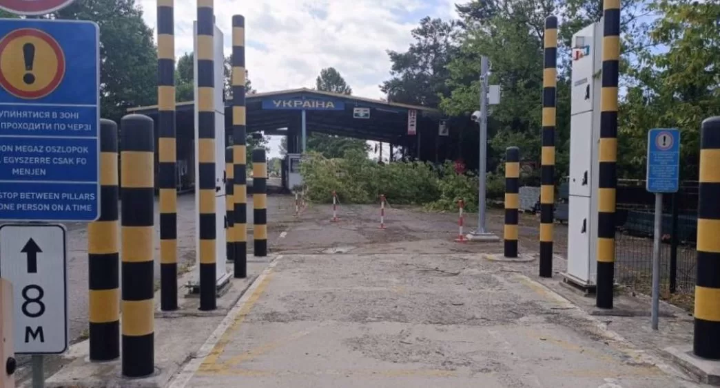 Повалені дерева у пункті пропуску "Дзвінкове-Лонья" / Фото: ДПСУ