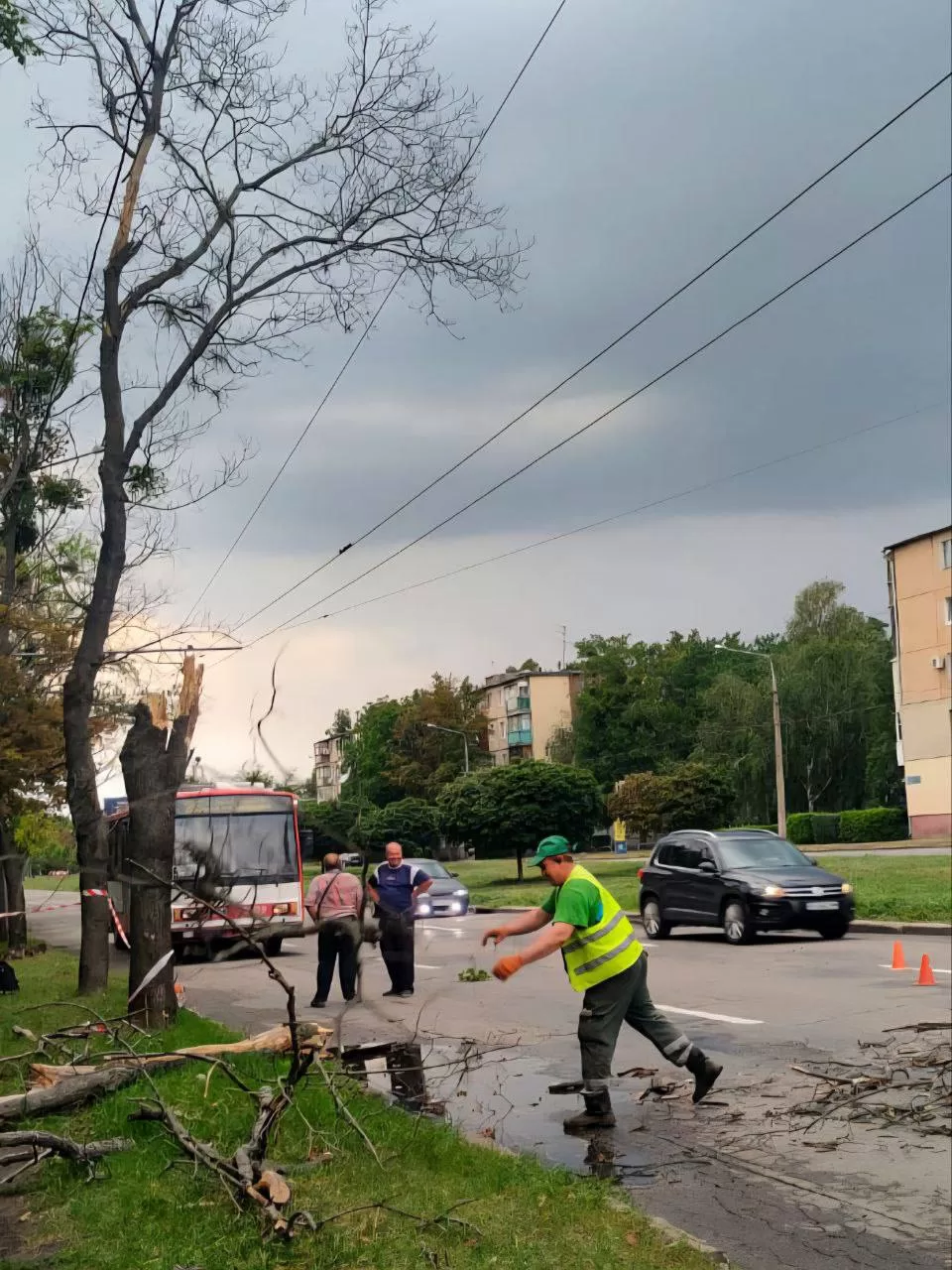 Повалені дерева, обірвані дроти: Харковом пройшов буревій